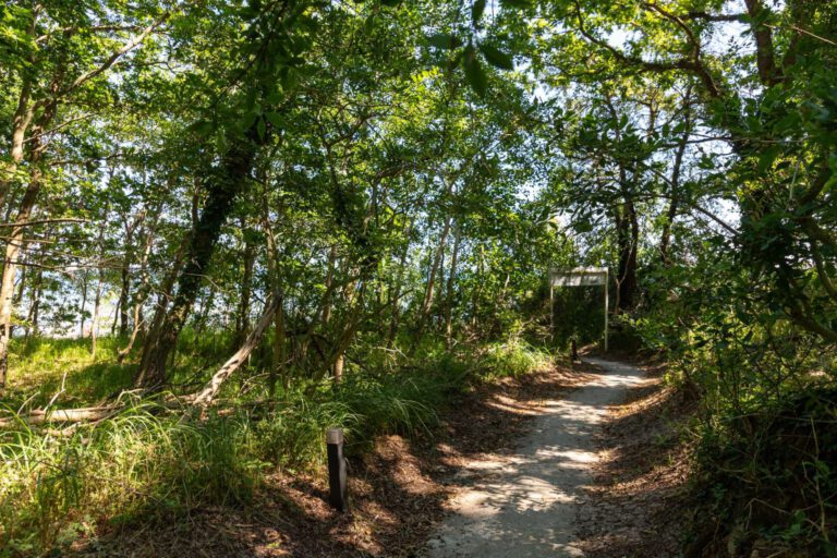 Nur ca. 150m zum schönsten Strand