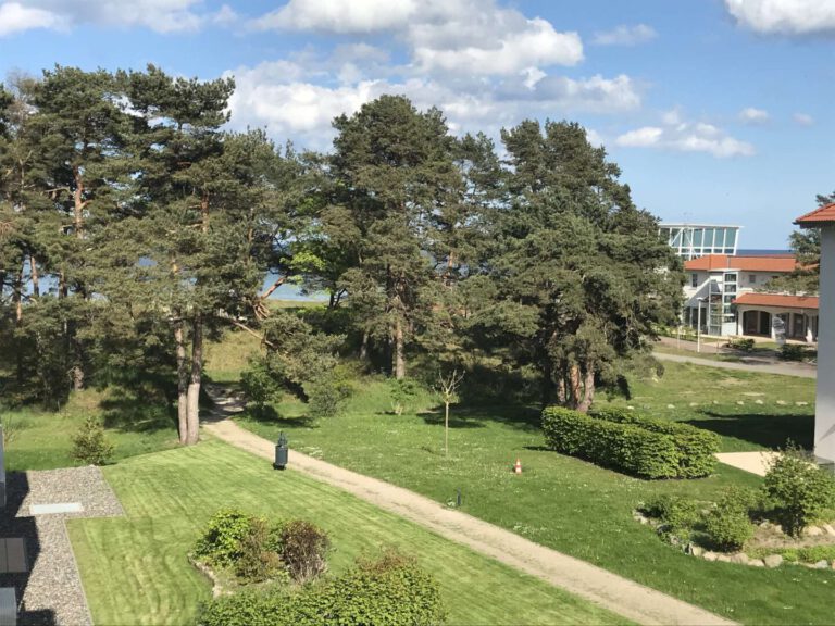 Der Blick vom sonnigen Balkon