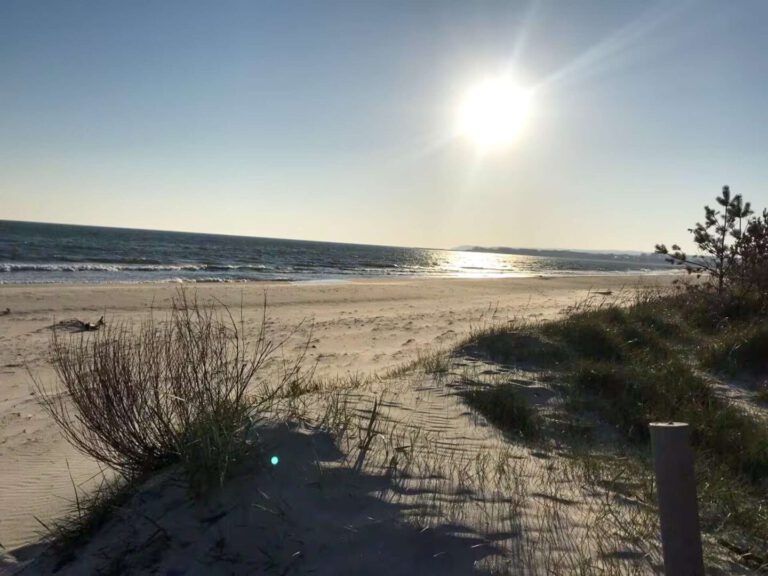 Nur wenige Meter vom Strand entfernt