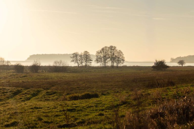 Die unberührte Natur