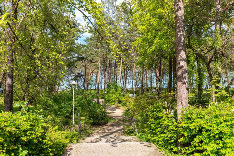 Der gepflegte Kurpark