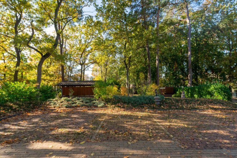 Das gepflegte Grundstück mit Grillplatz