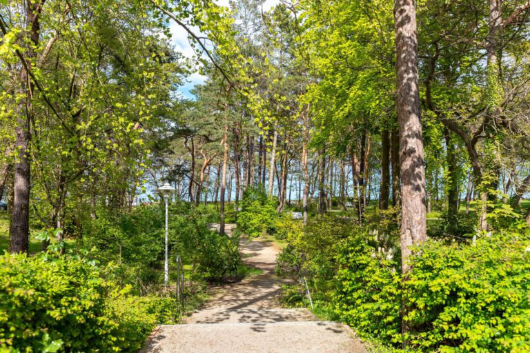 Der gepflegte Kurpark