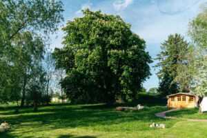 Der weitläufige Garten mit Gartenhaus