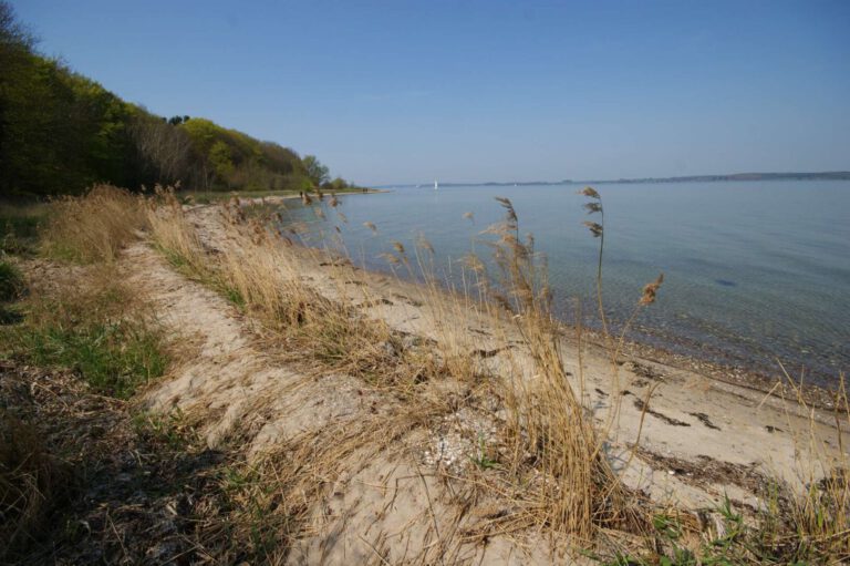 Die unmittelbare Nähe zum Wasser