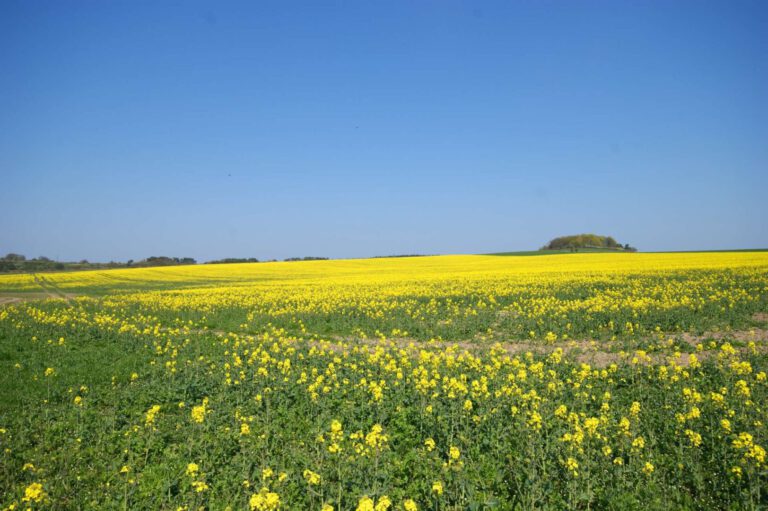 Die malerische Landschaft