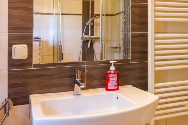Das moderne Badezimmer (Zum Fischer)